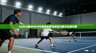 Fedora系统中VPN连接失败的排查与解决方案详解