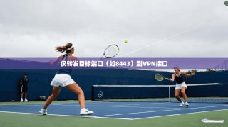 仅转发目标端口（如8443）到VPN接口