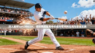 深入解析vpn.hbu.cn，高校网络服务中的虚拟专用网应用与安全实践