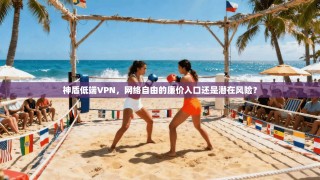 神盾低端VPN，网络自由的廉价入口还是潜在风险？