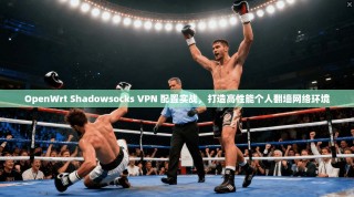 OpenWrt Shadowsocks VPN 配置实战，打造高性能个人翻墙网络环境