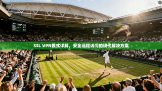 SSL VPN模式详解，安全远程访问的现代解决方案