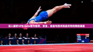 深入解析VPN Gate官方服务，安全、自由与技术挑战并存的网络通道