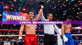 红手指VPN，便捷与风险并存的网络加速利器
