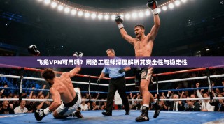 飞兔VPN可用吗？网络工程师深度解析其安全性与稳定性