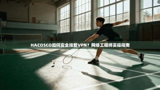 HACOSCO如何安全挂载VPN？网络工程师实操指南