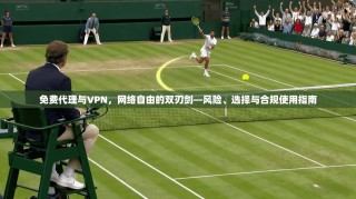 免费代理与VPN，网络自由的双刃剑—风险、选择与合规使用指南