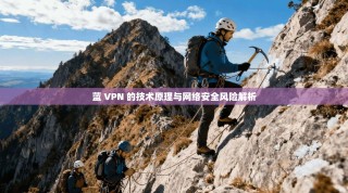 蓝 VPN 的技术原理与网络安全风险解析