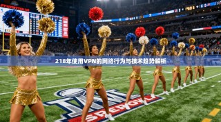218年使用VPN的网络行为与技术趋势解析