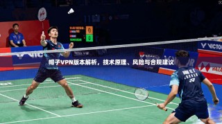 帽子VPN版本解析，技术原理、风险与合规建议