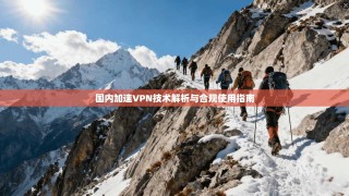 国内加速VPN技术解析与合规使用指南