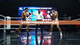 钦州学院VPN使用指南与网络优化建议