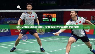 SSL VPN认证机制详解，安全访问企业内网的关键技术