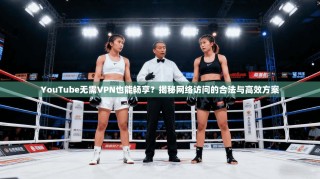 YouTube无需VPN也能畅享？揭秘网络访问的合法与高效方案