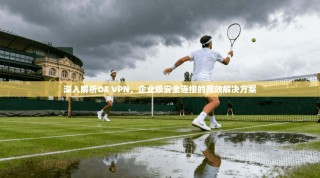 深入解析OE VPN，企业级安全连接的高效解决方案