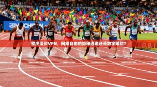 壁虎漫步VPN，网络自由的隐秘通道还是数字陷阱？