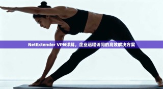 NetExtender VPN详解，企业远程访问的高效解决方案