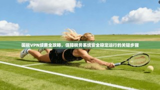 国税VPN续费全攻略，保障税务系统安全稳定运行的关键步骤