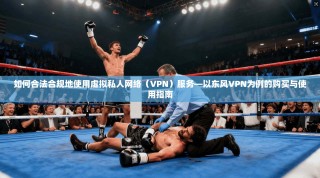 如何合法合规地使用虚拟私人网络（VPN）服务—以东风VPN为例的购买与使用指南