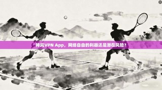 神风VPN App，网络自由的利器还是潜在风险？