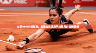 谷歌VPN申请指南，合法合规使用网络服务的正确路径