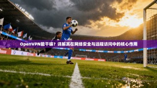 OpenVPN能干嘛？详解其在网络安全与远程访问中的核心作用
