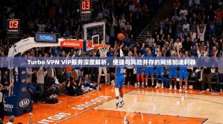 Turbo VPN VIP服务深度解析，便捷与风险并存的网络加速利器