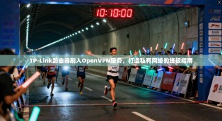 TP-Link路由器刷入OpenVPN服务，打造私有网络的终极指南