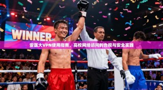 安医大VPN使用指南，高校网络访问的合规与安全实践