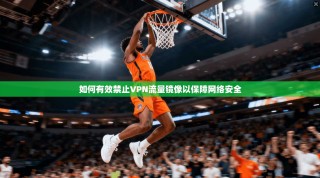 如何有效禁止VPN流量镜像以保障网络安全