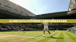 深入解析SVNClient与VPN的协同工作原理及网络配置优化策略