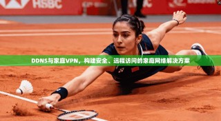 DDNS与家庭VPN，构建安全、远程访问的家庭网络解决方案