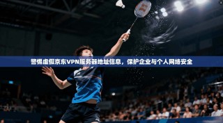 警惕虚假京东VPN服务器地址信息，保护企业与个人网络安全
