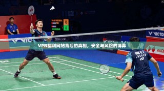 VPN福利网站背后的真相，安全与风险的博弈