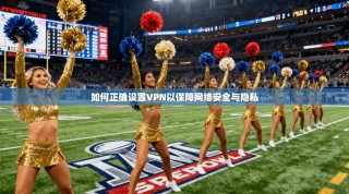 如何正确设置VPN以保障网络安全与隐私