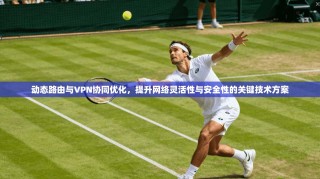 动态路由与VPN协同优化，提升网络灵活性与安全性的关键技术方案