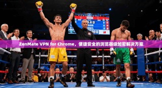 ZenMate VPN for Chrome，便捷安全的浏览器级加密解决方案