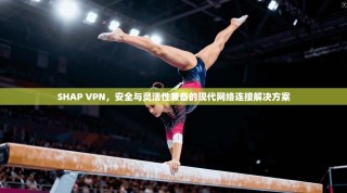 SHAP VPN，安全与灵活性兼备的现代网络连接解决方案