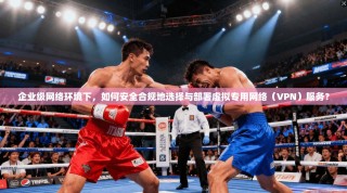 企业级网络环境下，如何安全合规地选择与部署虚拟专用网络（VPN）服务？