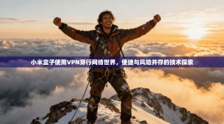 小米盒子使用VPN穿行网络世界，便捷与风险并存的技术探索
