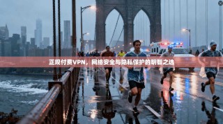 正规付费VPN，网络安全与隐私保护的明智之选