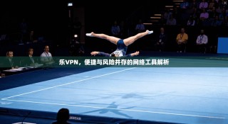 乐VPN，便捷与风险并存的网络工具解析