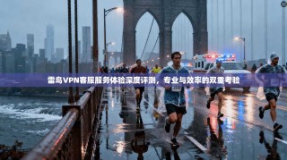 雷鸟VPN客服服务体验深度评测，专业与效率的双重考验