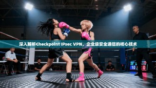 深入解析Checkpoint IPsec VPN，企业级安全通信的核心技术