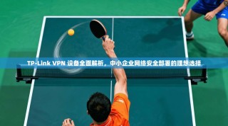 TP-Link VPN 设备全面解析，中小企业网络安全部署的理想选择