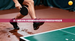 深入解析VPN IP反向解析技术及其在网络安全中的应用