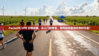 PacketiX VPN 价格详解，从入门到专业，如何选择最适合你的方案？