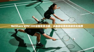 NetShare VPN1300设备配置详解，从基础设置到高级优化指南