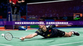 构建安全高效的双向VPN通信，企业网络互联的新选择