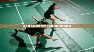 深入解析中国境内VPN使用现状与合规策略